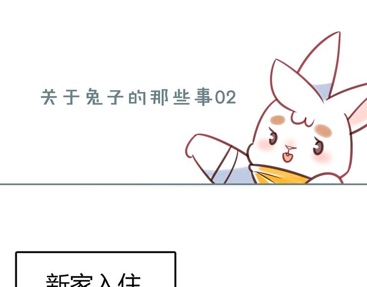 特别篇 关于兔子的那些事020