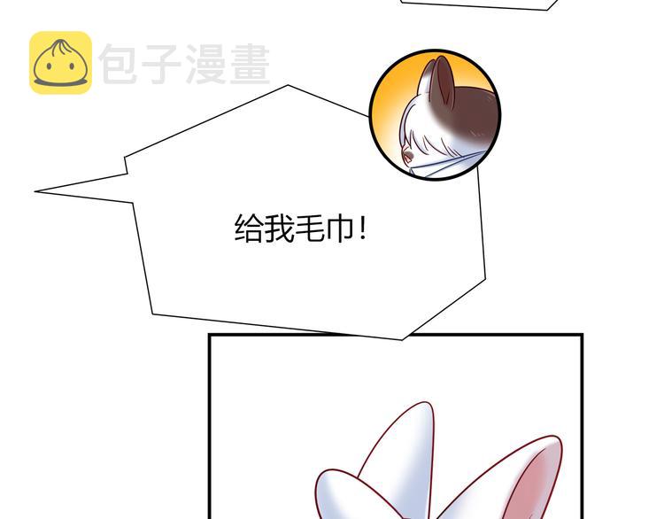 第77话 适合陪伴的机器兔6