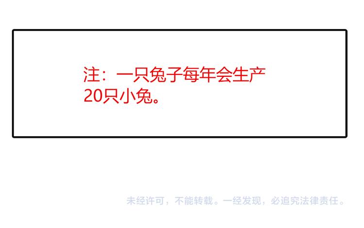 特别篇 关于兔子的那些事0515