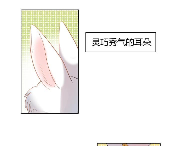 第1话 兔子不能吃巧克力？6