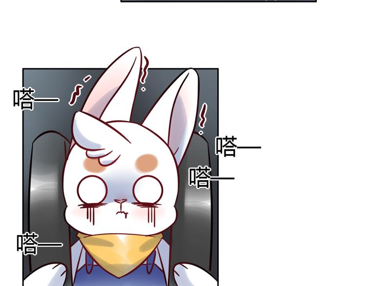 特别篇 关于兔子的那些事042