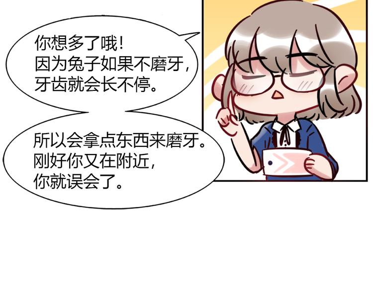 特别篇 关于兔子的那些事014