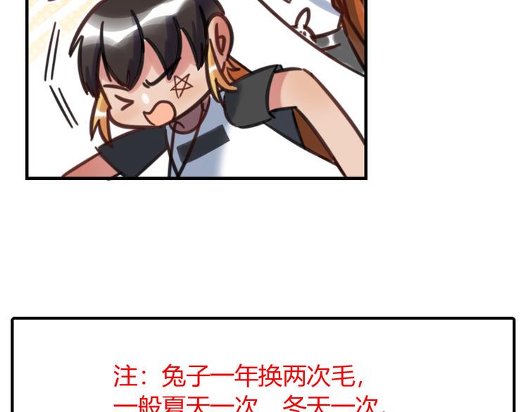 特别篇 关于兔子的那些事0311