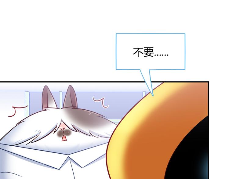 第77话 适合陪伴的机器兔63