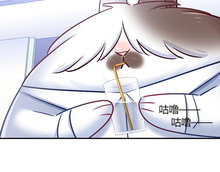 第77话 适合陪伴的机器兔54