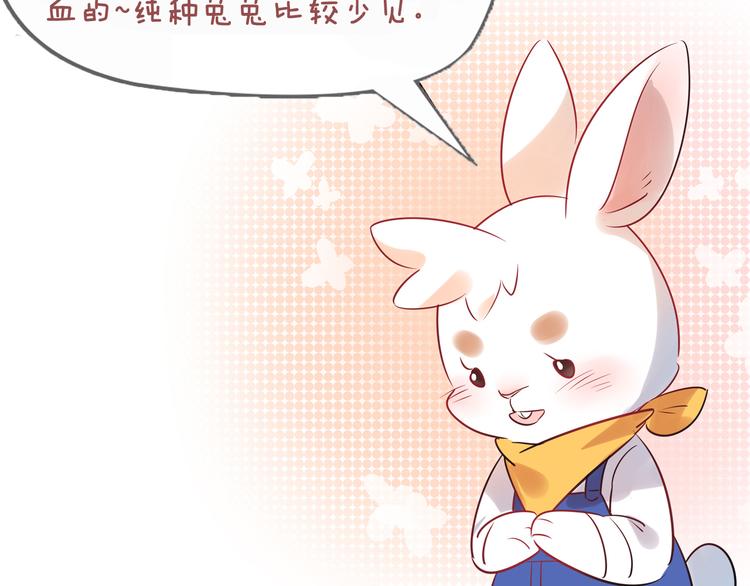第5话 萌兔子的烦恼94