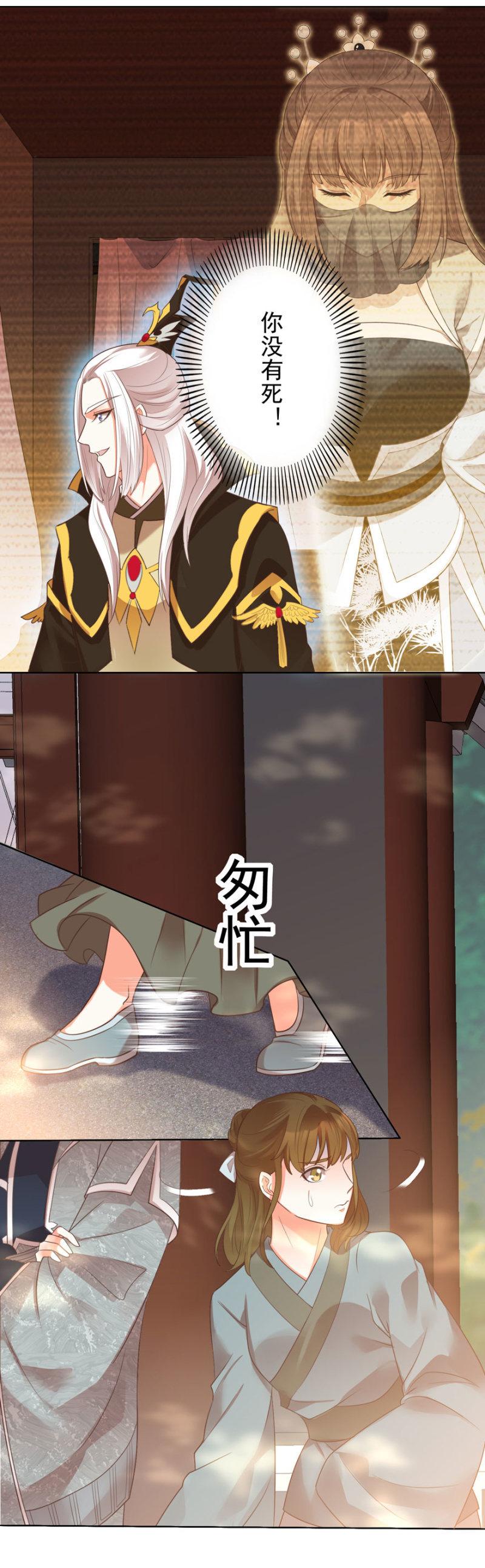快去救夫人5