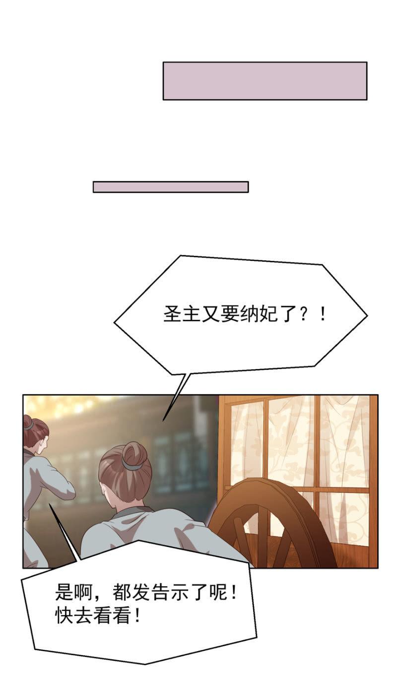 名正言顺保护你45
