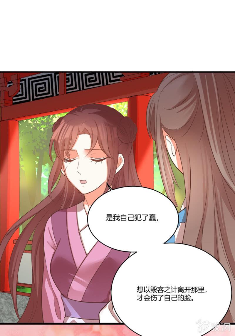 一切皆是天意12