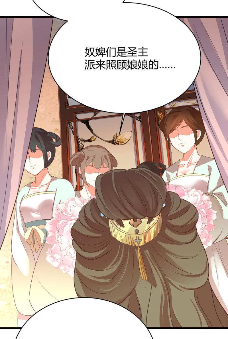假孕3