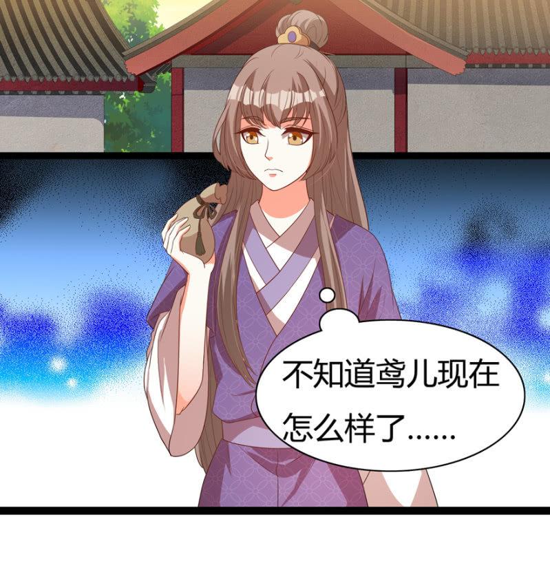 怀有子嗣2