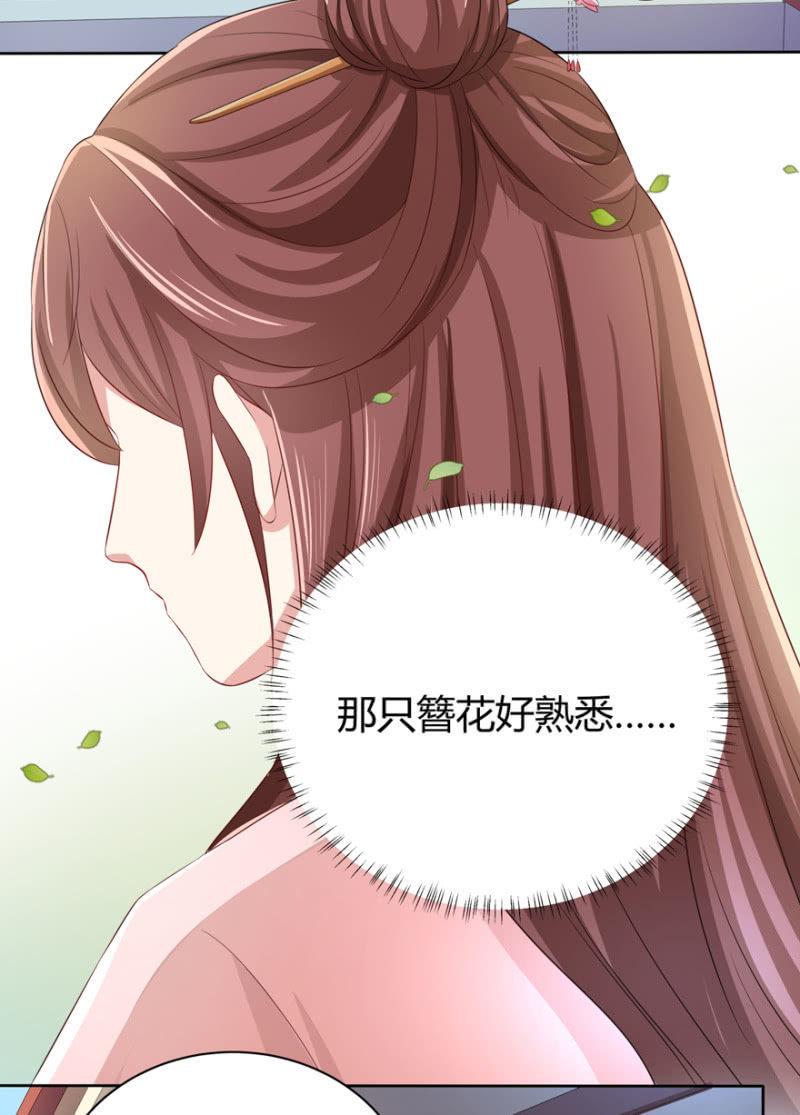 发簪33