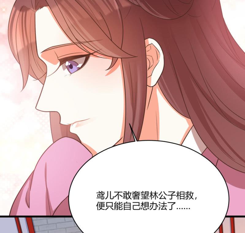 一切皆是天意14