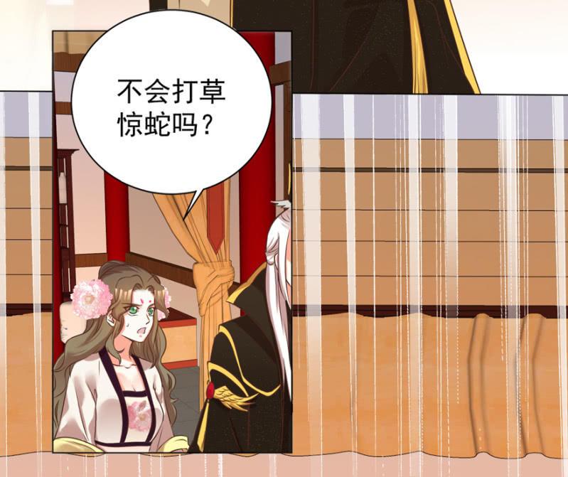 主动出击26