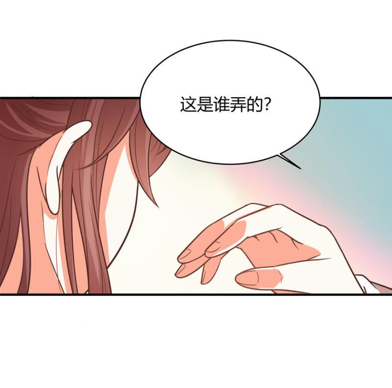一切皆是天意9