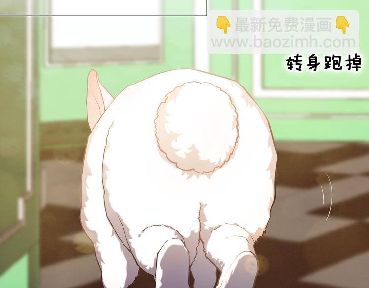 第87话 兔子般的她12