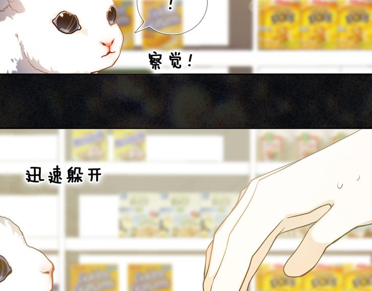 第87话 兔子般的她10