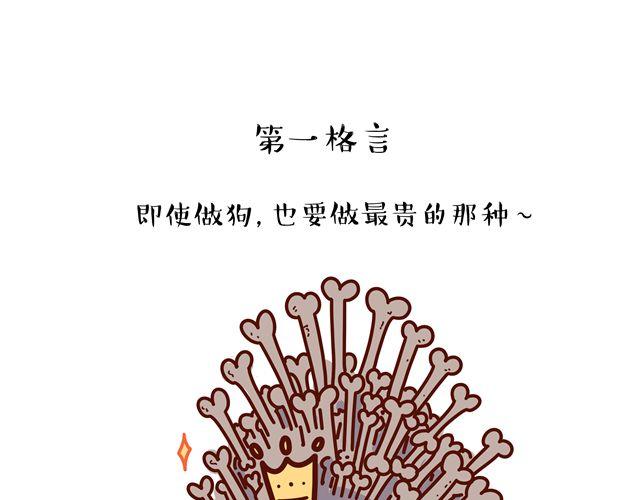 第14 单身狗须知的几条格言！1