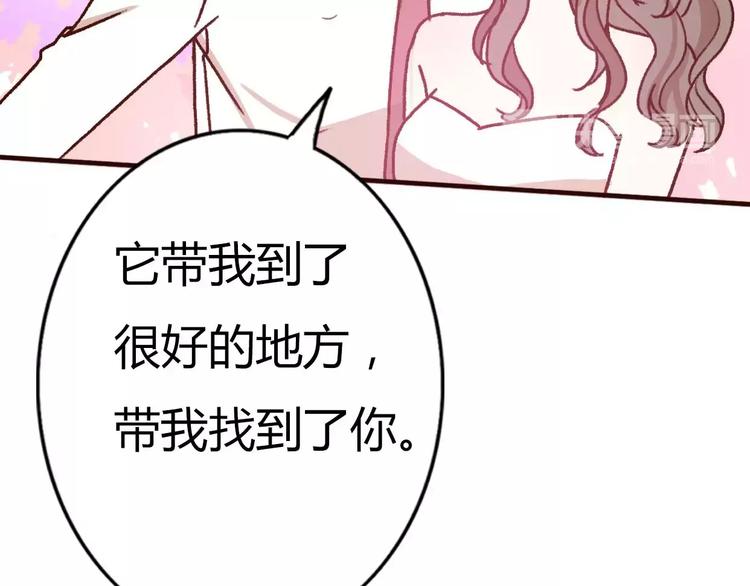 完结篇  我们结婚啦54