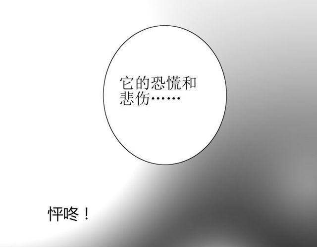 番外 灵胎（下）77