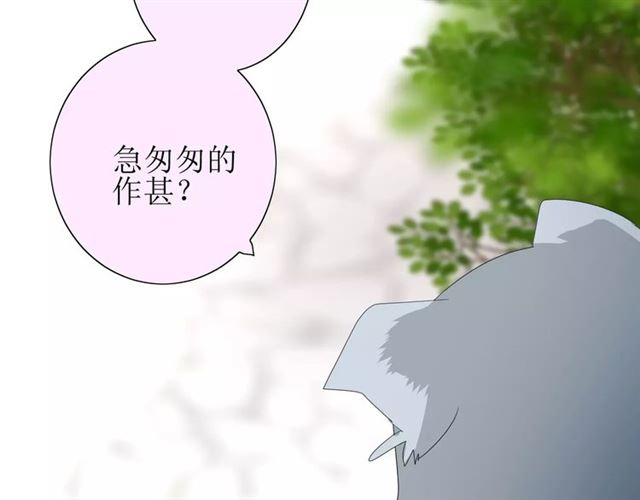 第35话 心意113