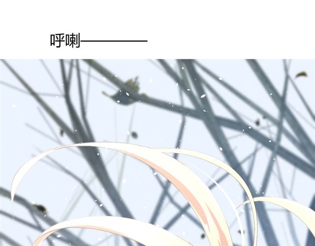 第87话 生辰58