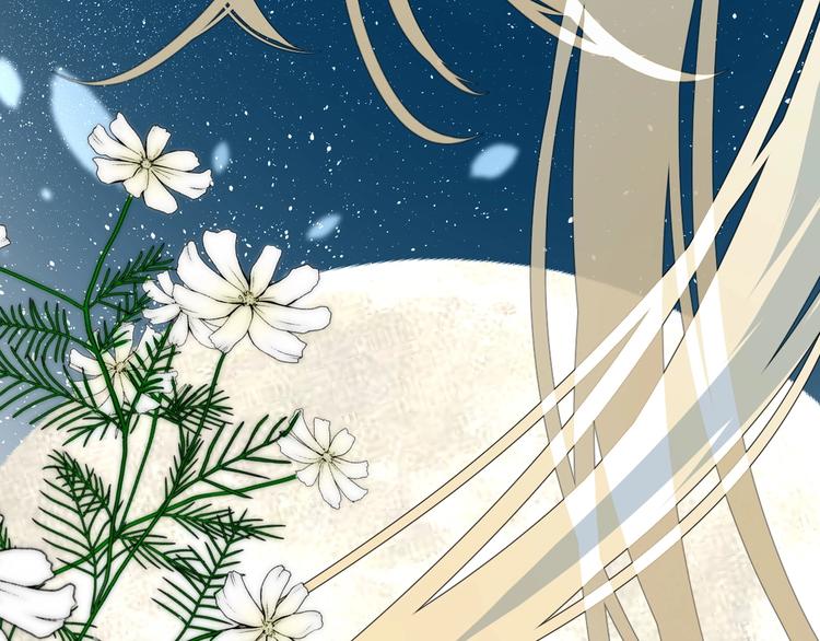 迷子新作《逆风之花》来啦3