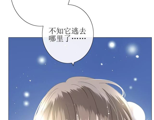 番外4 蜜萤茶（下）17