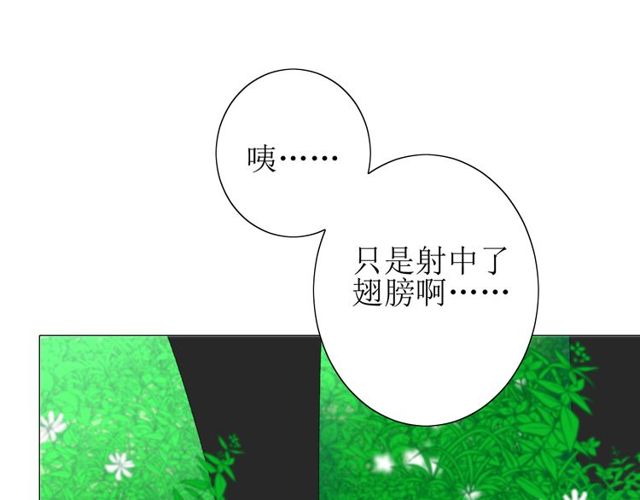 第69话 五色锦鸡90