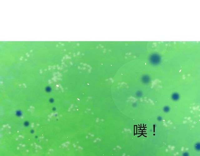 第69话 五色锦鸡20