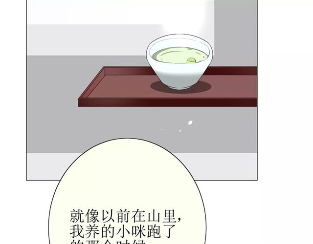 番外3 蜜萤茶（上）19