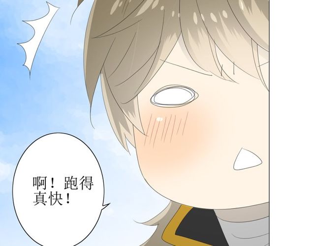 第69话 五色锦鸡72