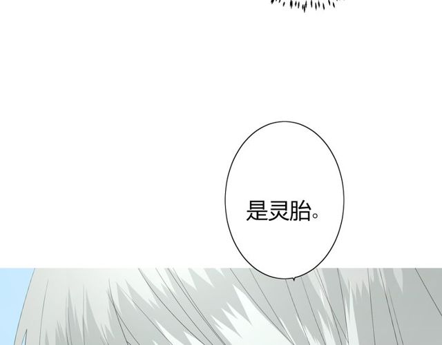 番外 灵胎（下）48
