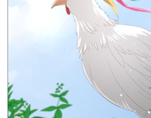 第69话 五色锦鸡66