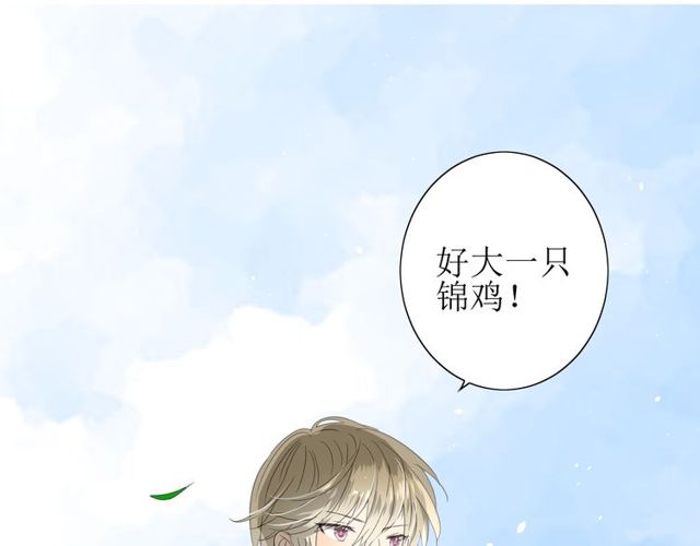 第69话 五色锦鸡56