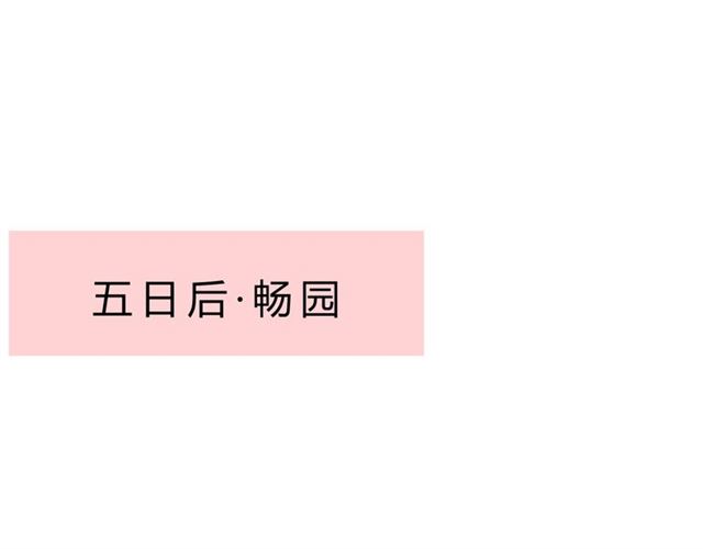 第22话  红花3