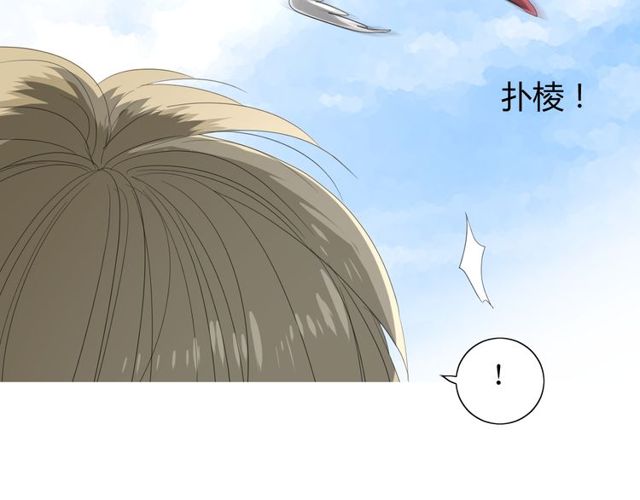 第69话 五色锦鸡54