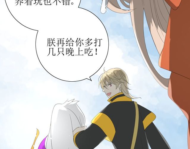 第69话 五色锦鸡95