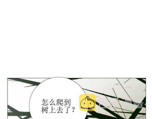 第87话 生辰45