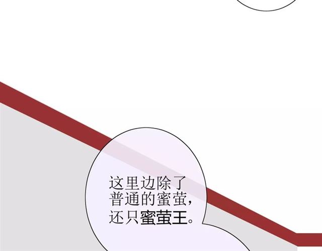 番外3 蜜萤茶（上）75