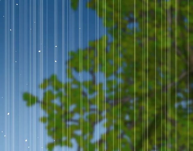 番外 忧伤的雨（下）29