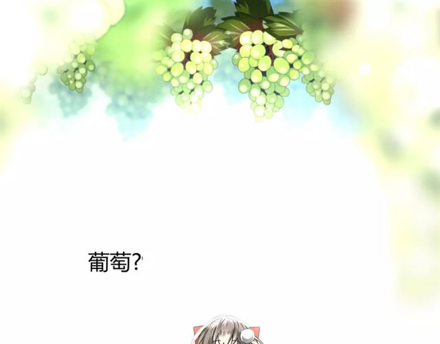 番外1  绿葡萄之夜（上）12