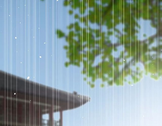 番外 忧伤的雨（下）30