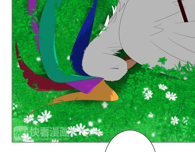 第69话 五色锦鸡92