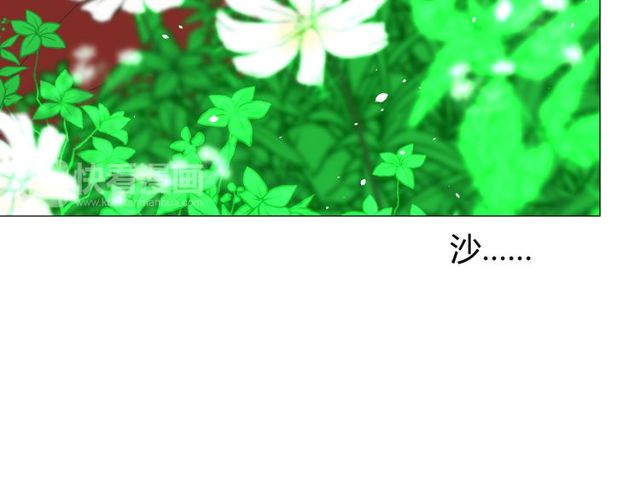 第69话 五色锦鸡43