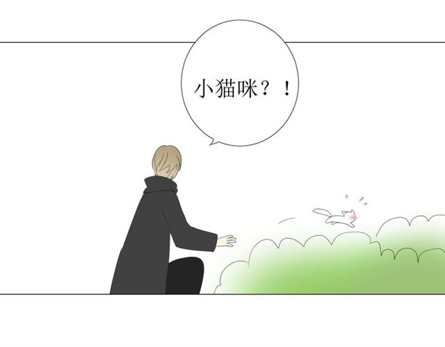 完结篇 花开之时114
