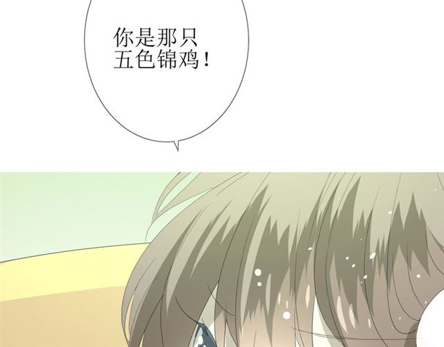 第71话 他不懂得62