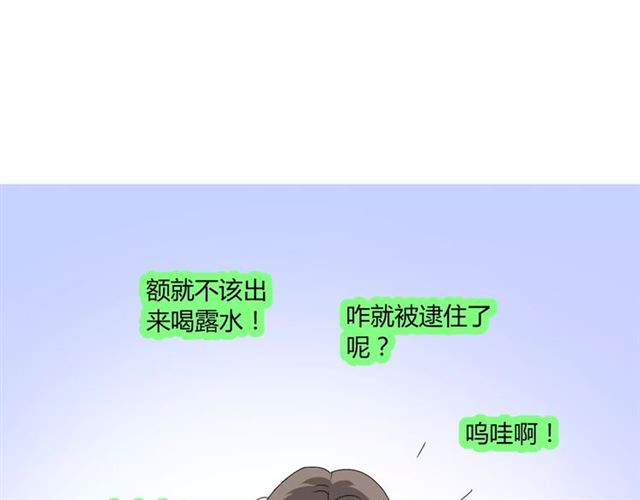 番外3 蜜萤茶（上）101