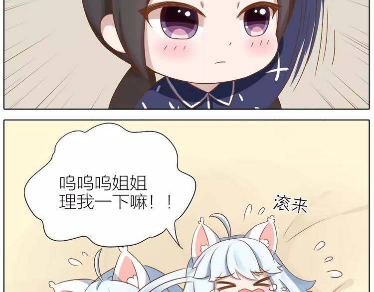 番外 养猫指南？16