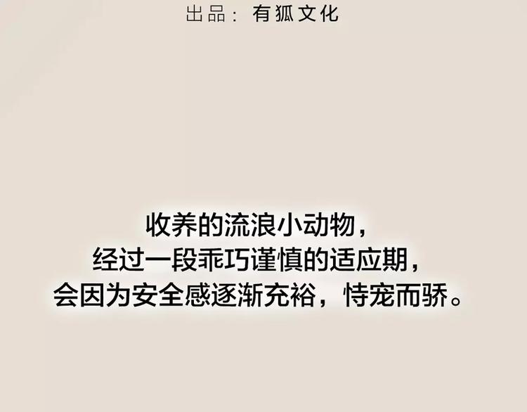 第20话 猫男的秘密2